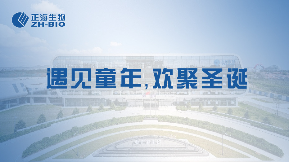 遇见童年，欢聚圣诞