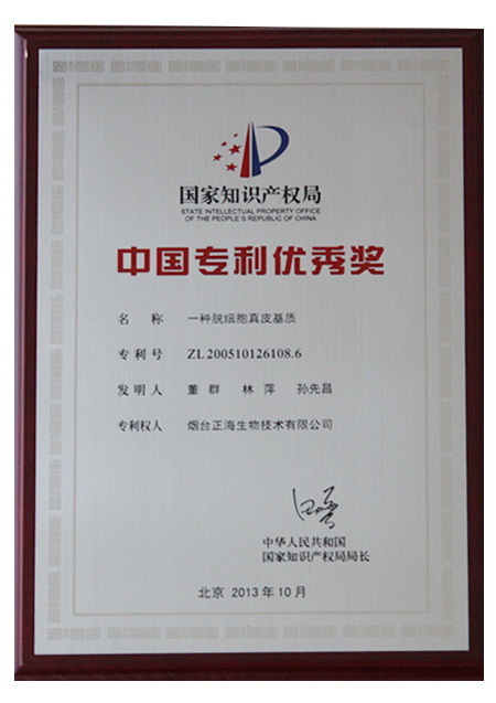 国家专利奖证书